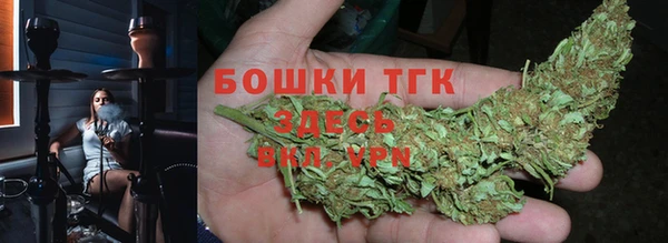 сатива Мурманск