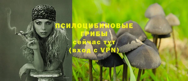твердый Липки