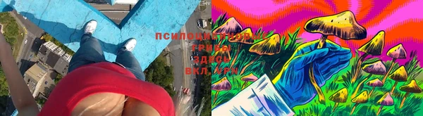 твердый Липки