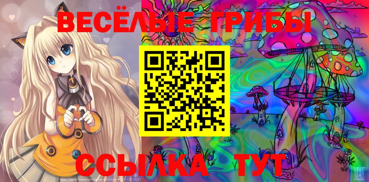 Галлюциногенные грибы мицелий Липецк