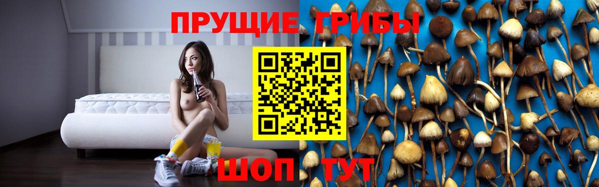 Липецк  Галлюциногенные грибы MAGIC MUSHROOMS  Вход с VPN  Псилоцибиновые грибы Magic Shrooms 